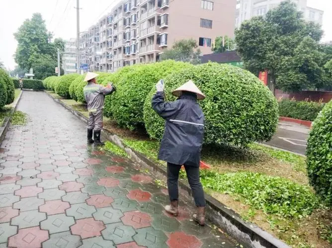 微信图片_20230412134357.png