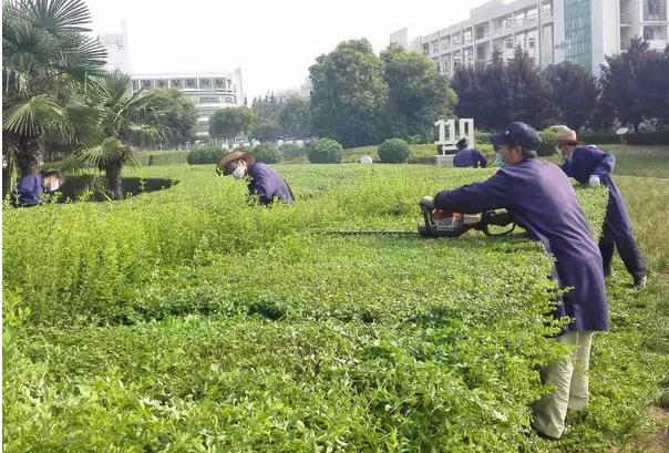 园林绿化工程师