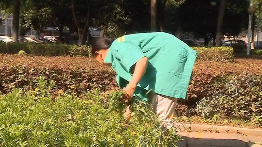 绿化工