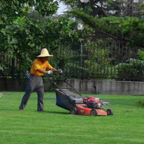 绿化工