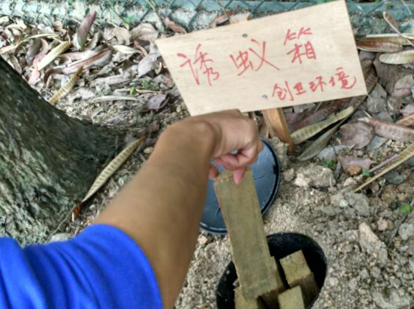 白蚁防治工