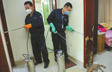 白蚁防治工