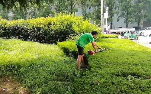 园林绿化工程师